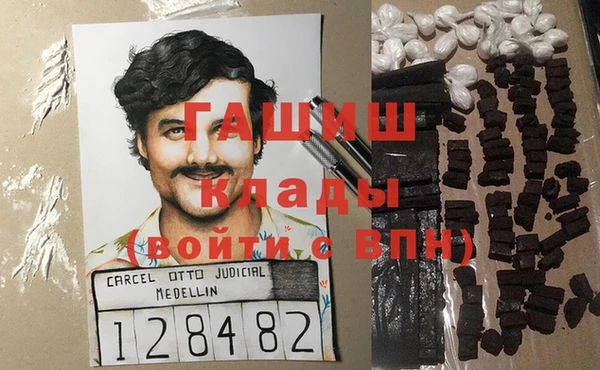 индика Белокуриха