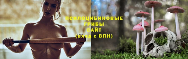 молекула духа Богородицк