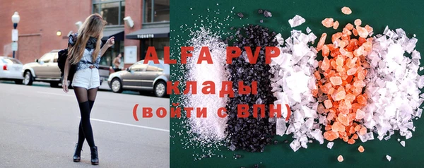 индика Белокуриха