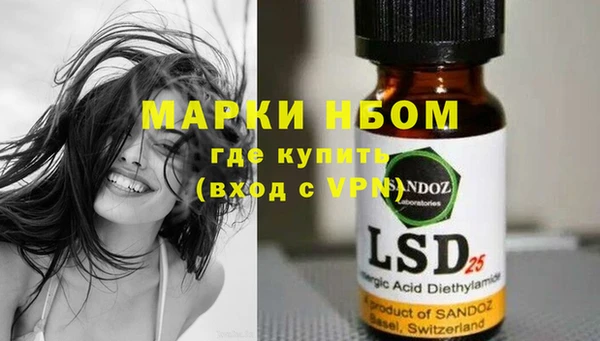 молекула духа Богородицк