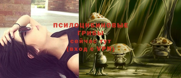 индика Белокуриха