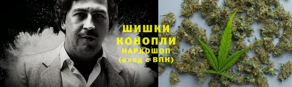 индика Белокуриха