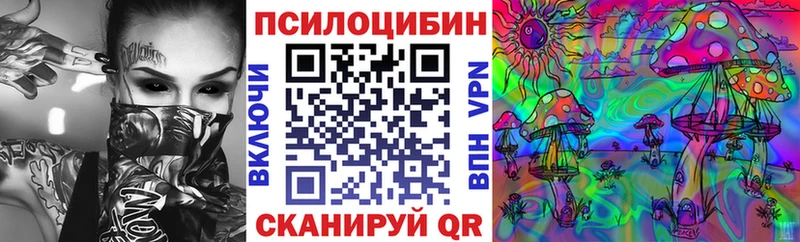 купить  сайты  Котовск  Галлюциногенные грибы Cubensis 